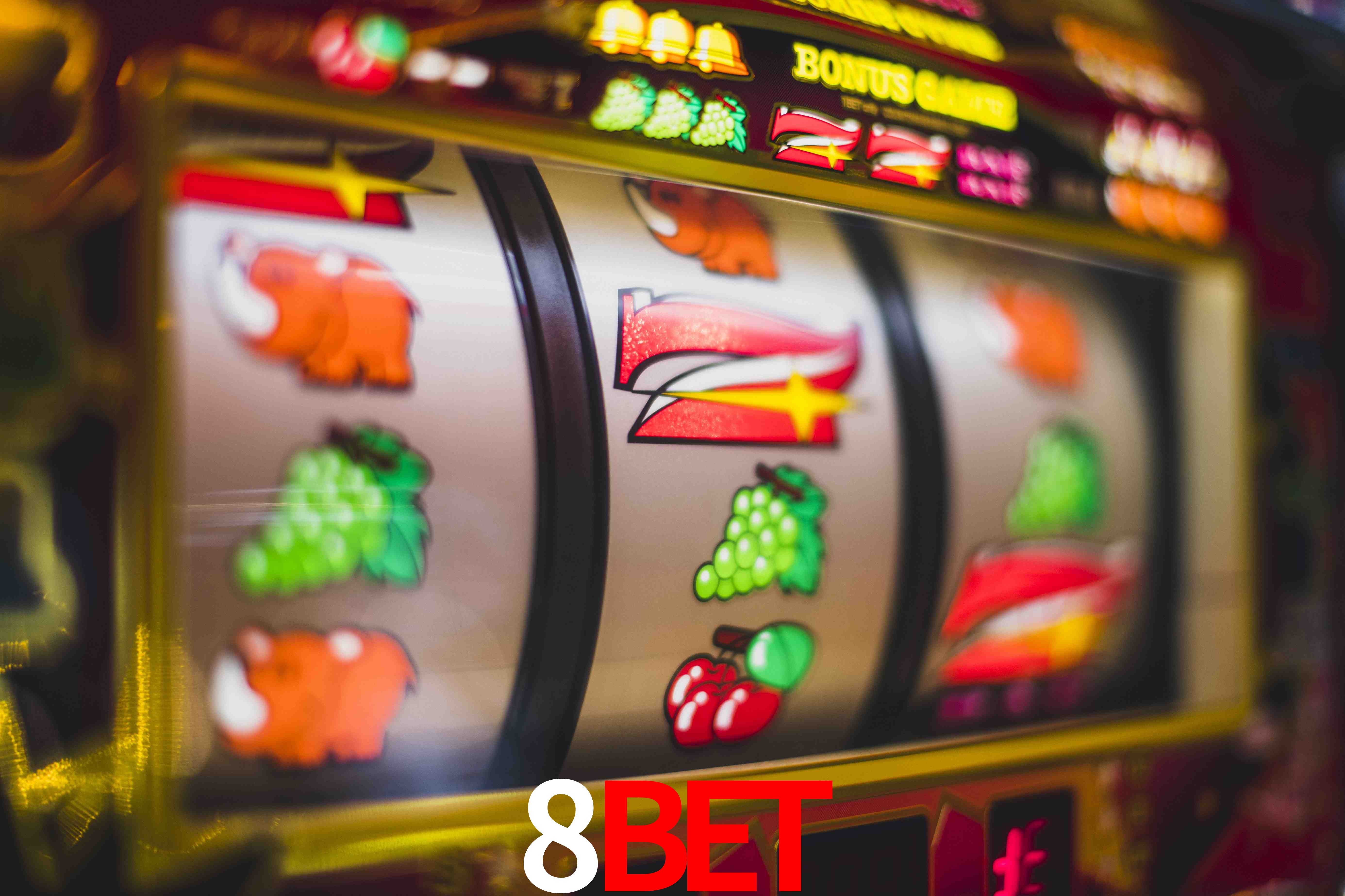 Crash Games Statistics 8bet